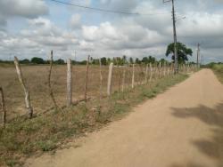 #146 - Fazenda para Venda em Cruz das Almas - BA - 1