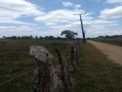 #146 - Fazenda para Venda em Cruz das Almas - BA - 2