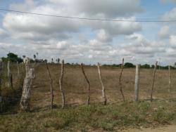 #146 - Fazenda para Venda em Cruz das Almas - BA - 3